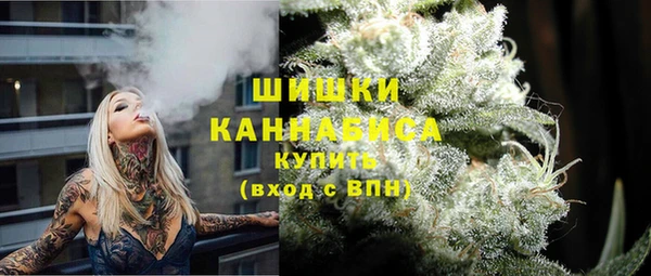 ПСИЛОЦИБИНОВЫЕ ГРИБЫ Арсеньев