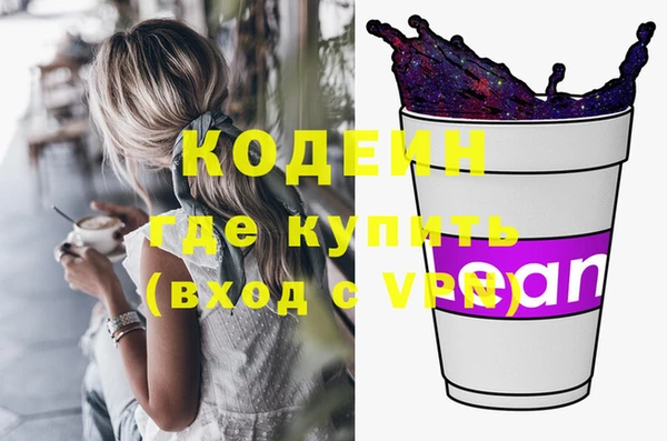 ПСИЛОЦИБИНОВЫЕ ГРИБЫ Арсеньев