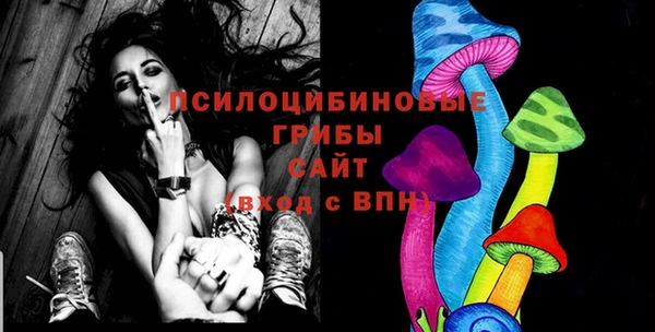 ПСИЛОЦИБИНОВЫЕ ГРИБЫ Арсеньев
