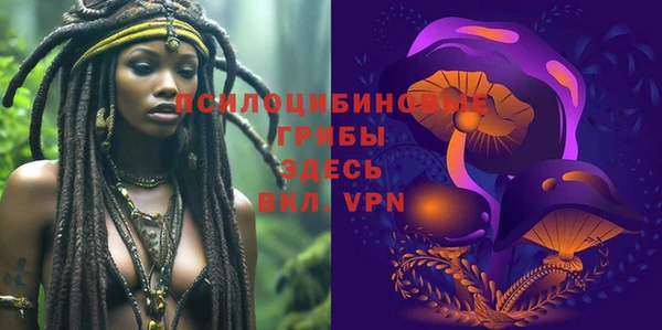 ПСИЛОЦИБИНОВЫЕ ГРИБЫ Арсеньев